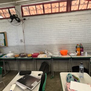 Registro da atividade realizada na escola